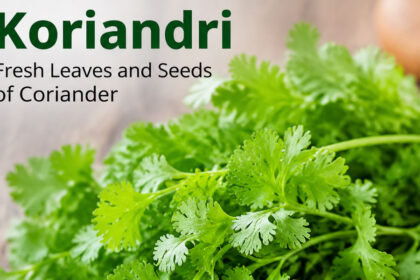 Koriandri: The Simple Truth Behind This Popular Herb