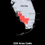 239 Area Code: Everything You Need to Know About Southwest Florida’s Phone Code