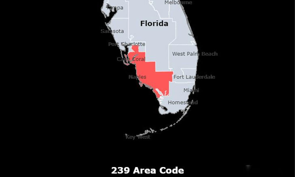 239 Area Code: Everything You Need to Know About Southwest Florida’s Phone Code