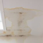 Common Signs That Indicate It's Time to Schedule Water Damage Repair