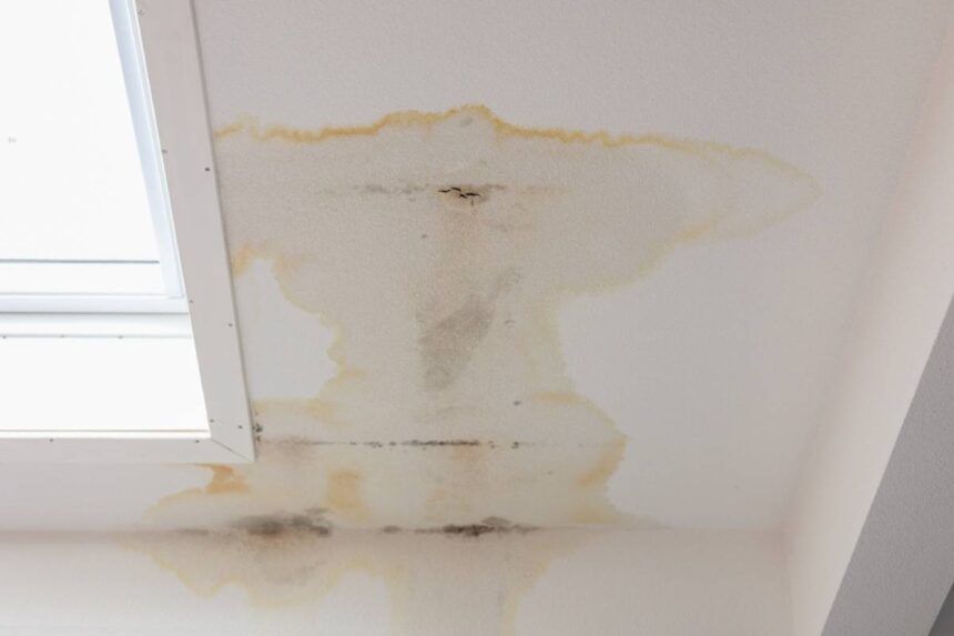 Common Signs That Indicate It's Time to Schedule Water Damage Repair