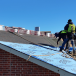 Shingle Roof