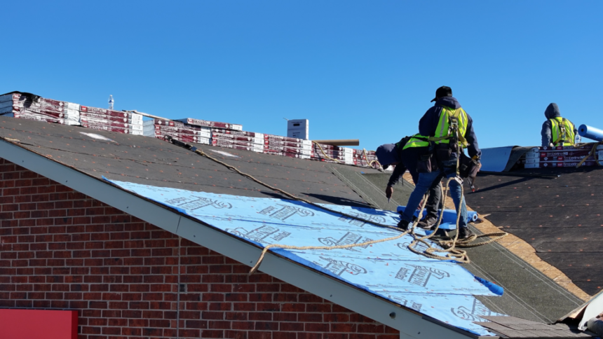 Shingle Roof