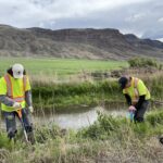 Vegetation Control