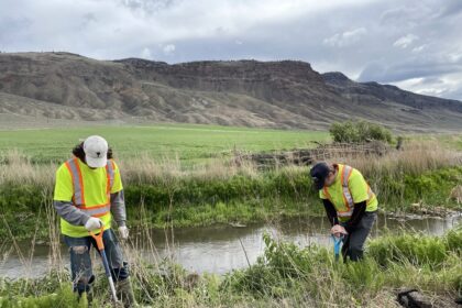 Vegetation Control