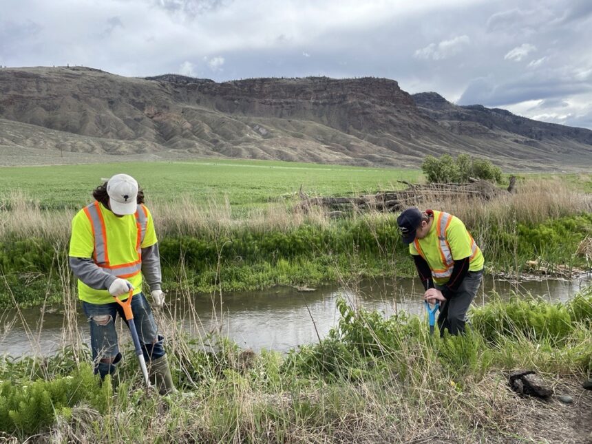 Vegetation Control