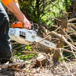 Tree Removal