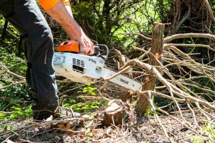 Tree Removal