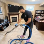 Carpet Cavalry