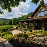 The Ultimate Guide to Creating a Perfect Wine and Cheese Night