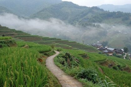 Where to Experience Authentic Local Culture in Northern Vietnam