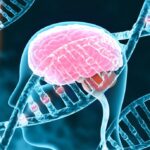 Genetic-Based Wellness Planning