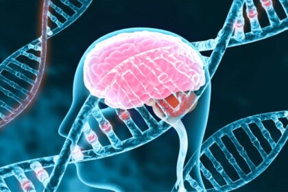 Genetic-Based Wellness Planning
