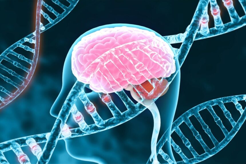 Genetic-Based Wellness Planning