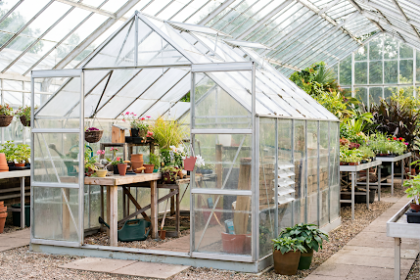 Clear Acrylic Plexiglass Sheet