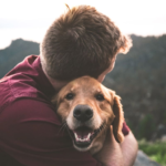 Fox Veterinary Services