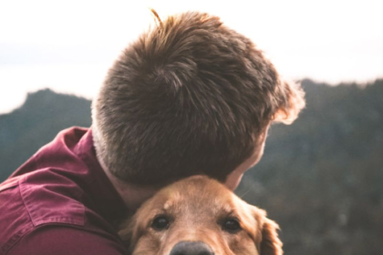 Fox Veterinary Services