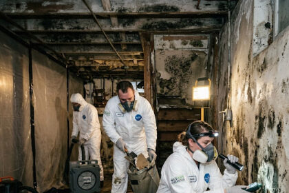 Mold Remediation Company
