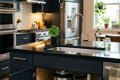 Garbage Disposals