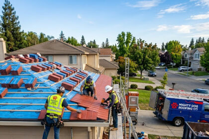 Dog Roofing 171