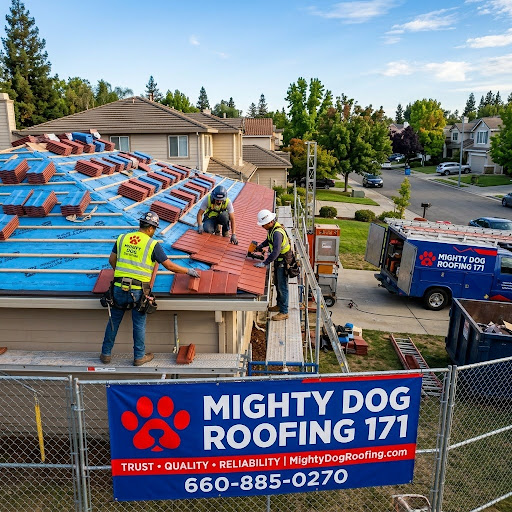 Dog Roofing 171