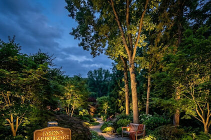Landscape Lighting
