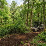 ClearCut Forestry Mulching