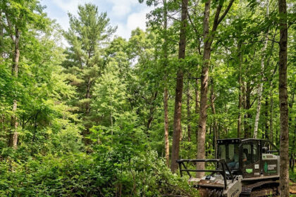 ClearCut Forestry Mulching