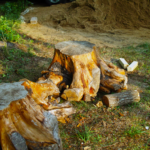 BW Tree Removal