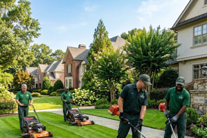 Atlanta Lawn Services
