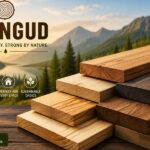 Plangud: Meaning, Uses, Types, and Benefits