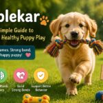 Valplekar: The Simple Guide to Happy and Healthy Puppy Play