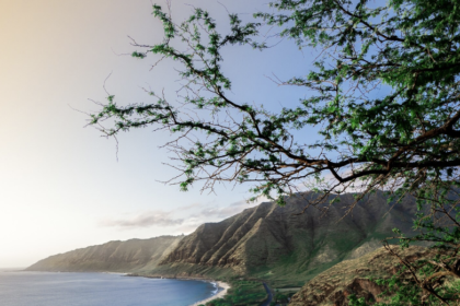 Best Outdoor Adventure Activities Santa Barbara: A Guide to Active Travel