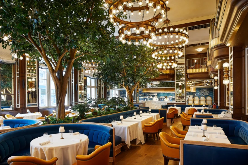 How Do NYC Fine Dining Options Help Diners Explore Chef's Counter Experiences Beyond Traditional Tasting Rooms
