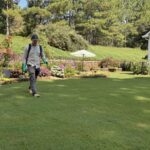 Seasonal Lawn Care in Buford, GA