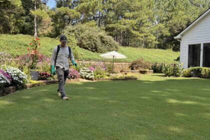 Seasonal Lawn Care in Buford, GA