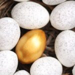 Benefits of Investing in a Gold IRA & How to Do It the Right Way