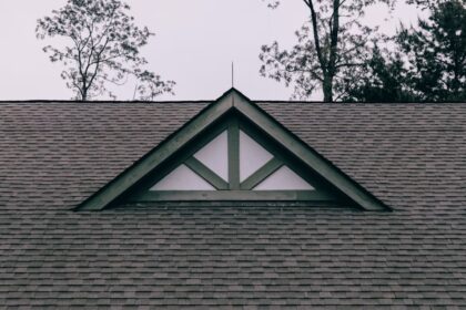 Catch Roof Problems Early Before They Grow
