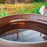 How Rainwater Storage Can Support More Water-Efficient Sydney Homes