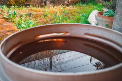 How Rainwater Storage Can Support More Water-Efficient Sydney Homes