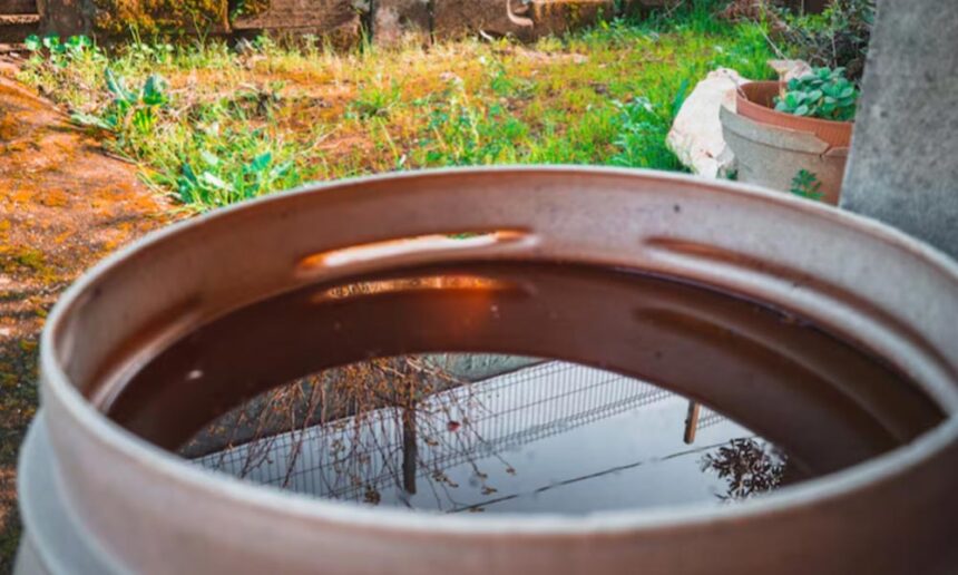 How Rainwater Storage Can Support More Water-Efficient Sydney Homes