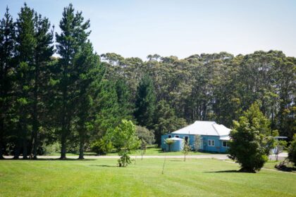 Inside the Triple Care Farm Rehabilitation Program: A Guide for Young People