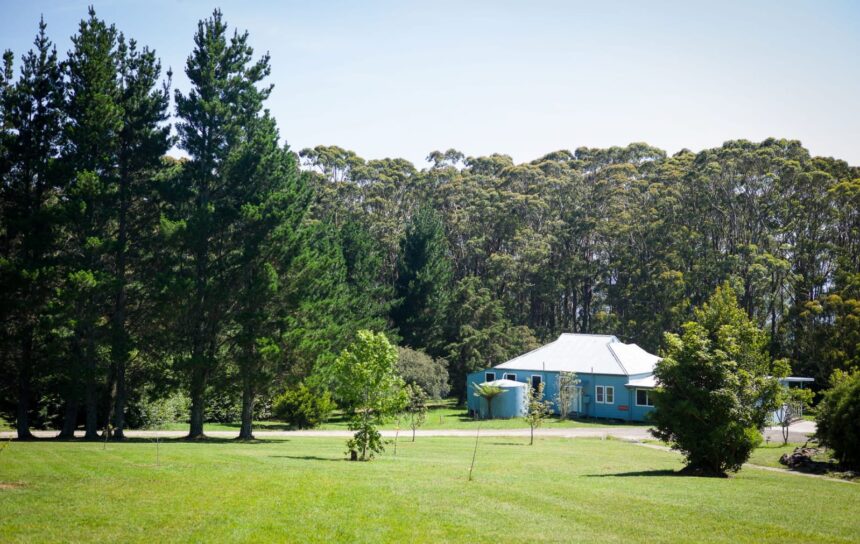 Inside the Triple Care Farm Rehabilitation Program: A Guide for Young People