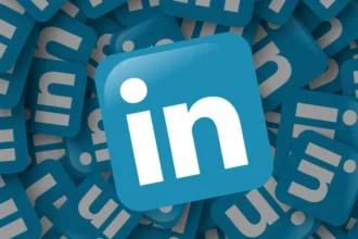 BIDVA Review: What to Know Before Choosing Its LinkedIn Accounts