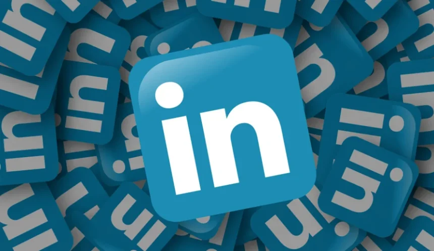 BIDVA Review: What to Know Before Choosing Its LinkedIn Accounts