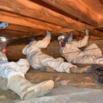 Crawl Space Repair in Prince George: Diagnosing Moisture Problems and Selecting Lasting Fixes