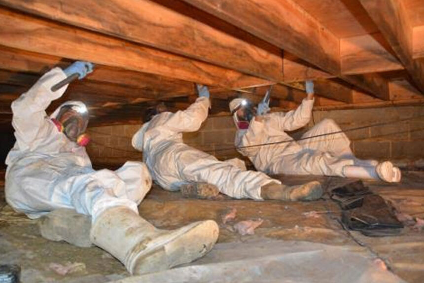 Crawl Space Repair in Prince George: Diagnosing Moisture Problems and Selecting Lasting Fixes