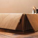 How to Choose an Enrichment Box Your Cat Will Actually Use